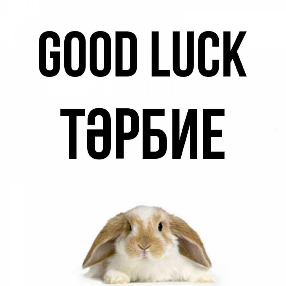 Greetings card с именем, ТӘРБИЕ Good luck открытки с произвольным текстом который можно вставить в открытку и создать ее самостоятельно бесплатно онлайн Greetings with text for free download 