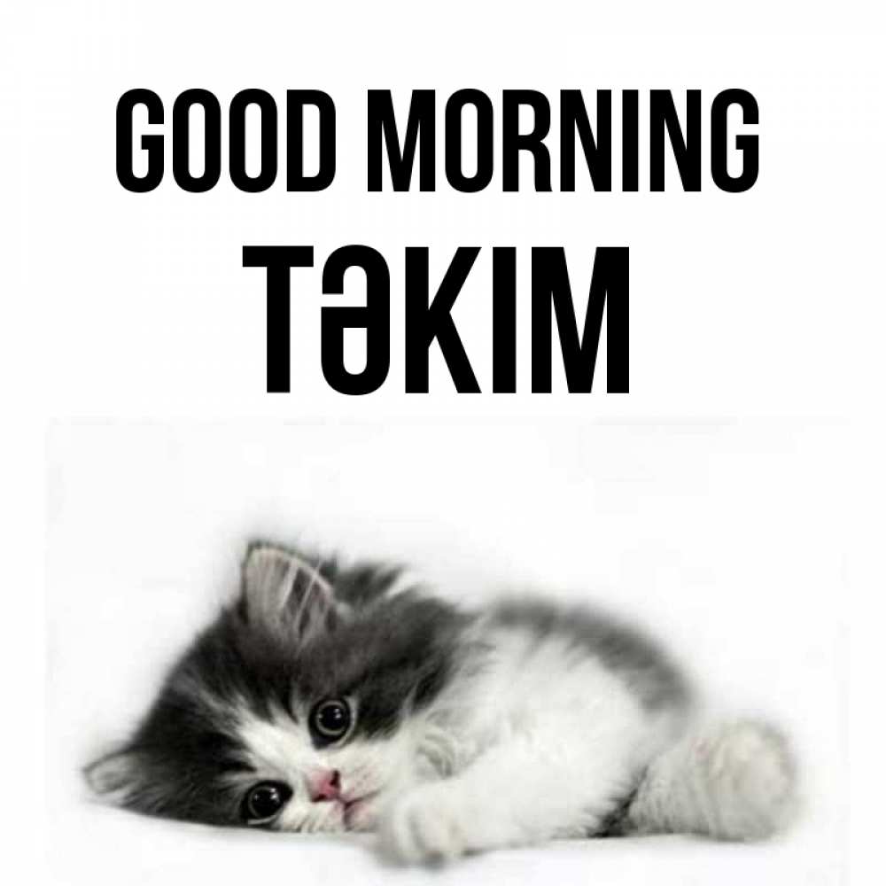 Greetings card с именем, ТӘКІМ Good morning кот лапки Greetings with text for free download 