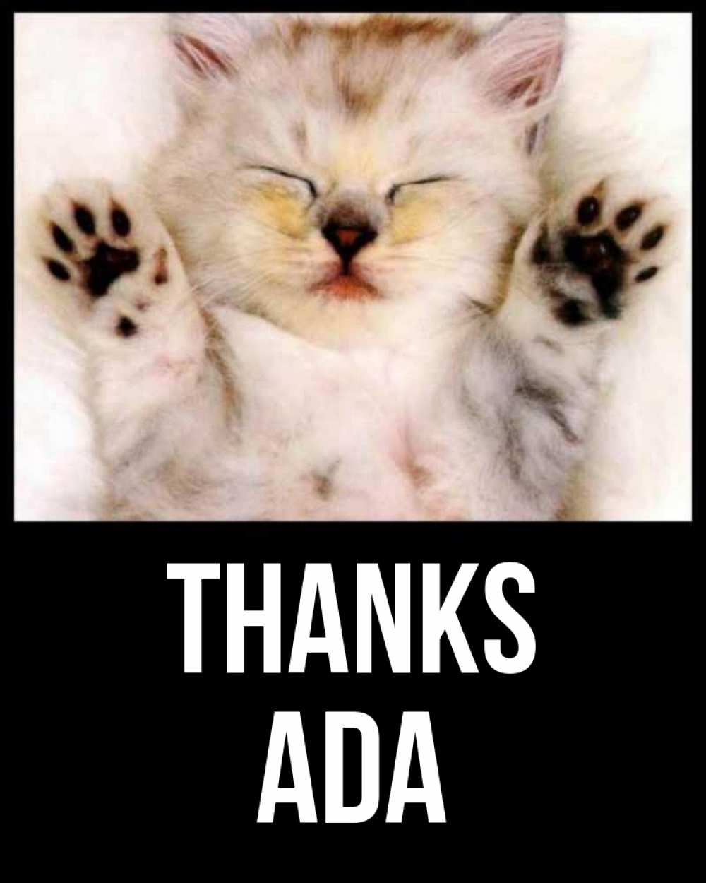 Greetings card с именем, Ada Thanks маленький котенок Greetings with text for free download 