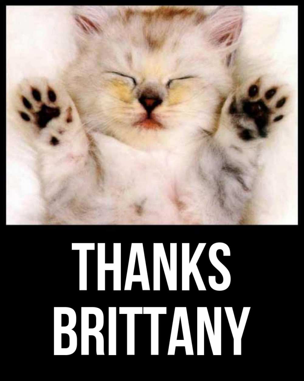 Greetings card с именем, Brittany Thanks маленький котенок Greetings with text for free download 