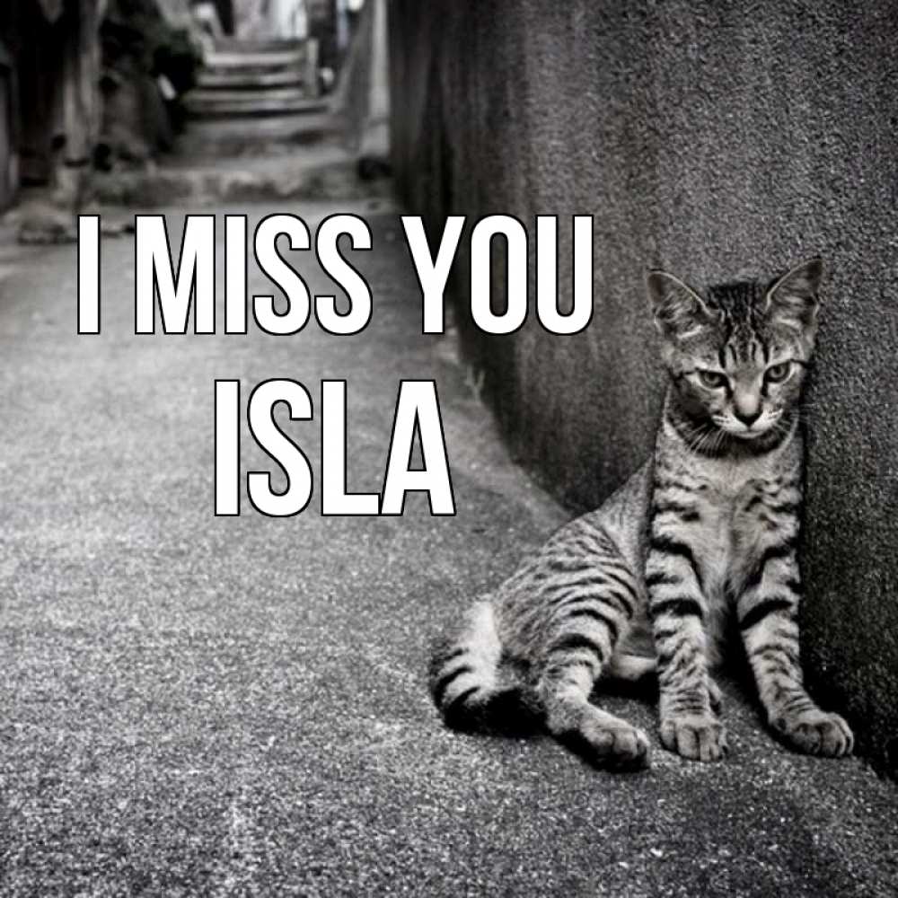 Greetings card с именем, Isla I miss you одиноко котику Greetings with text for free download 