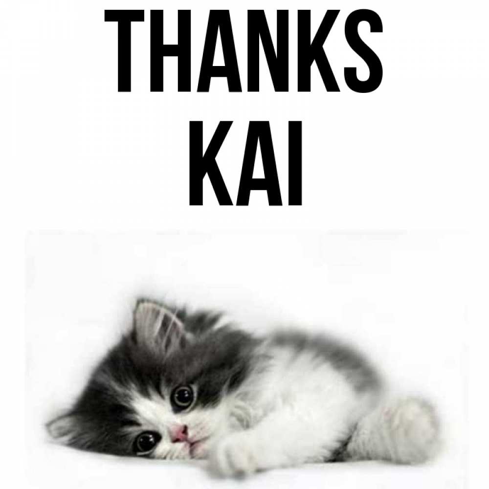 Greetings card с именем, Kai Thanks черный и белый кот Greetings with text for free download 