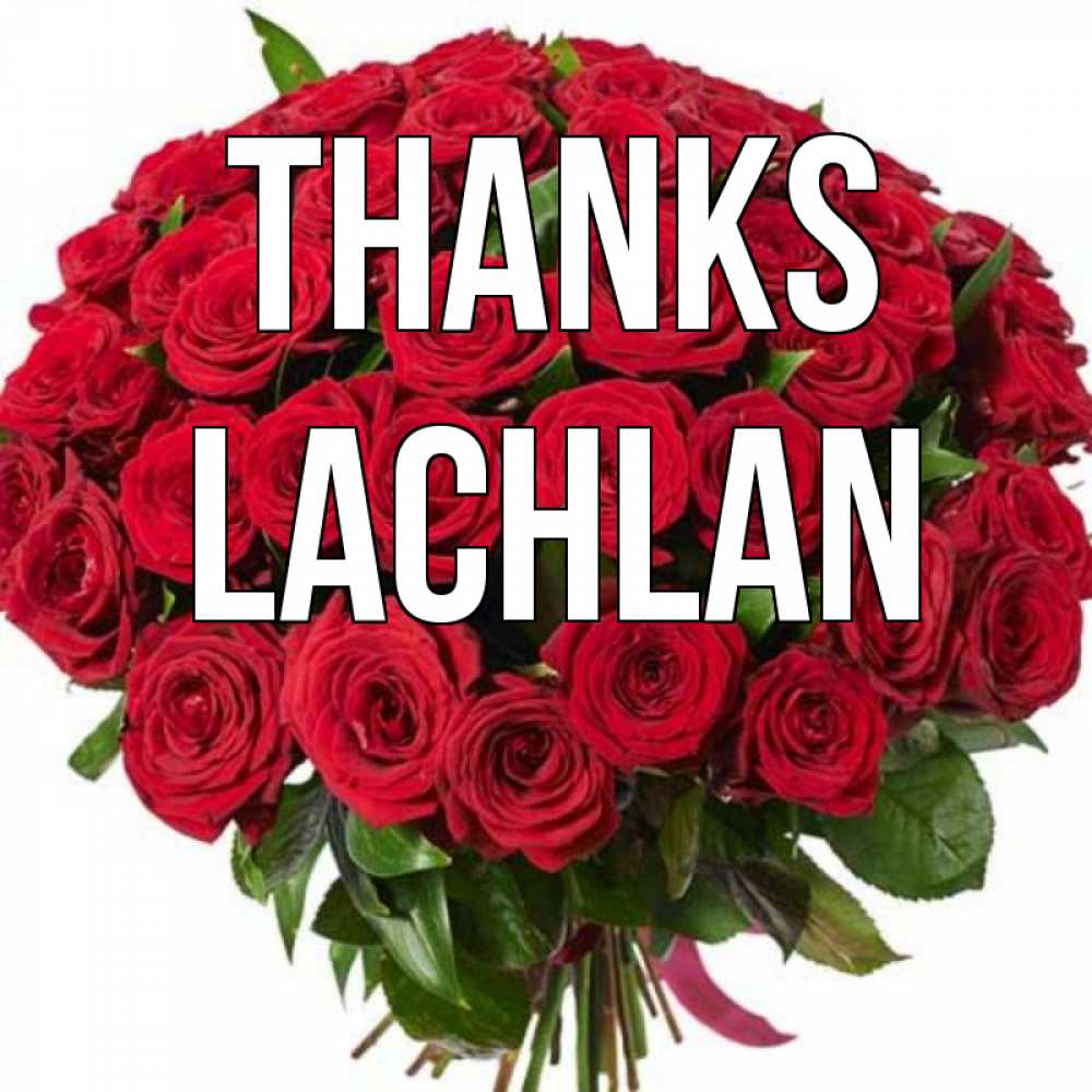 Greetings card с именем, Lachlan Thanks букет красных роз Greetings with text for free download 