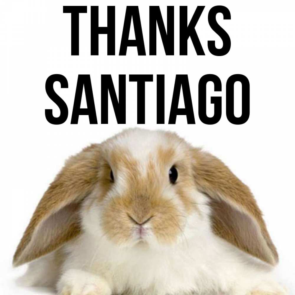Greetings card с именем, Santiago Thanks коричнево белый заяц Greetings with text for free download 