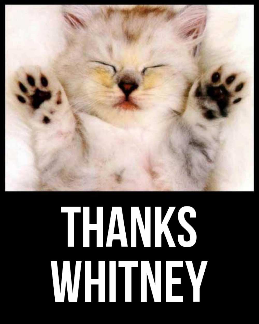 Greetings card с именем, Whitney Thanks маленький котенок Greetings with text for free download 