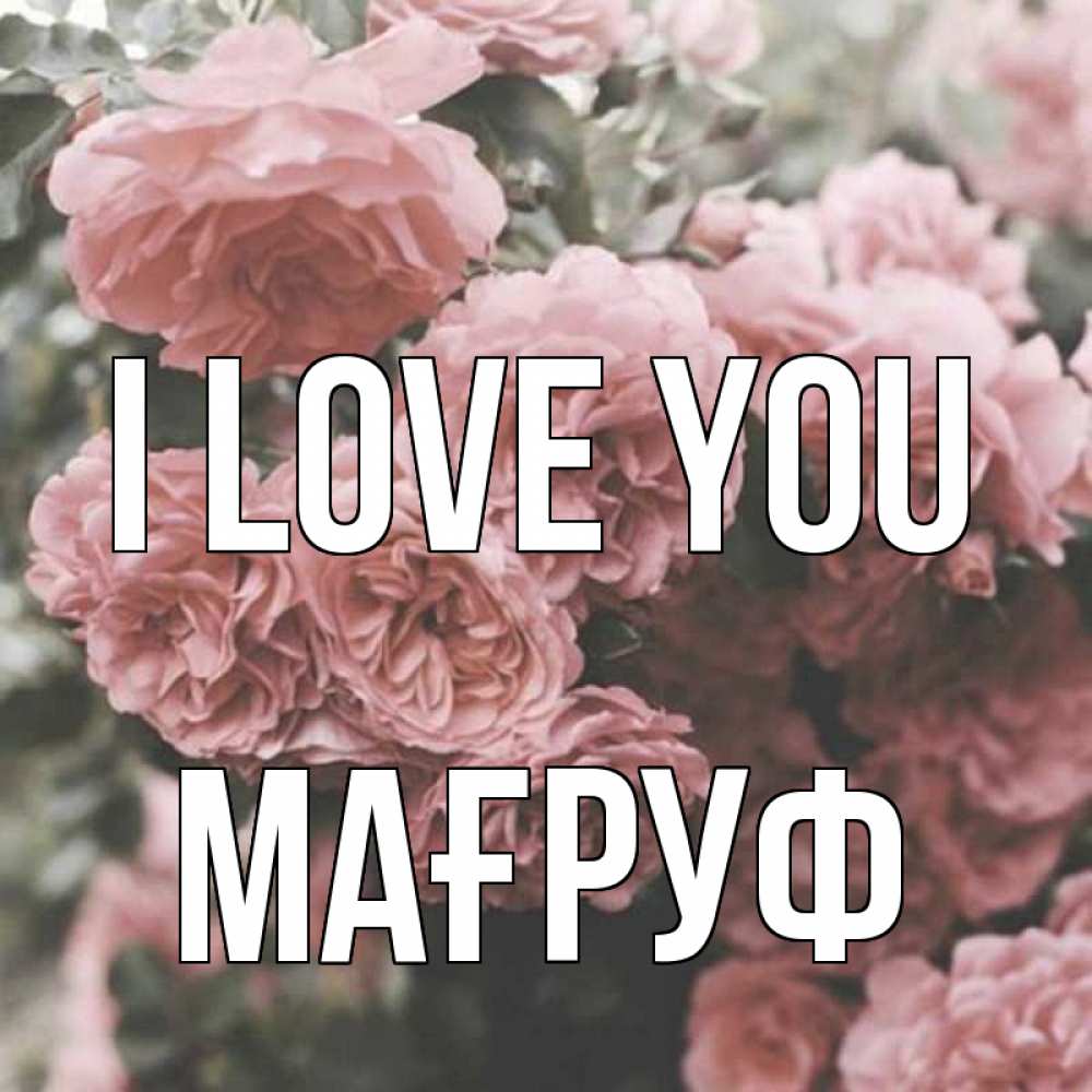 Greetings card с именем, МАҒРУФ I love you розы 3 Greetings with text for free download 