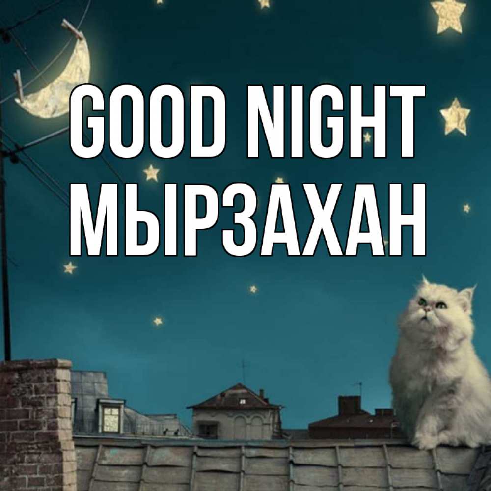Greetings card с именем, Мырзахан Good night белый кот сидит на крыше Greetings with text for free download 