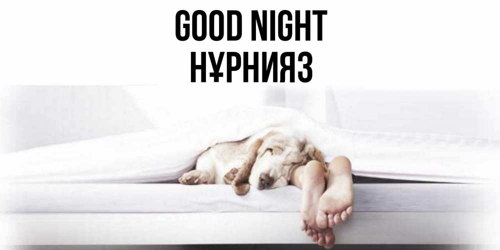 Greetings card с именем, НҰРНИЯЗ Good night кровать с собакой пожелание сладких снов и спокойной ночи Greetings with text for free download 