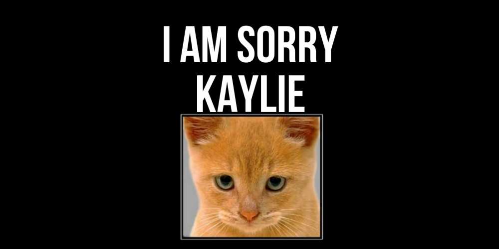 Greetings card с именем, Kaylie I am sorry рыжий грустный кот просит прощения Greetings with text for free download 