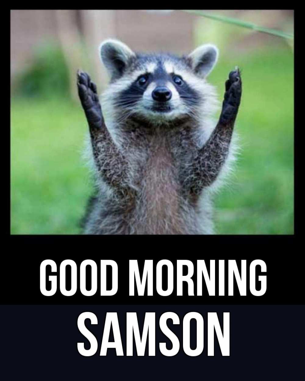 Greetings card с именем, Samson Good morning хорошее настроение утречком Greetings with text for free download 