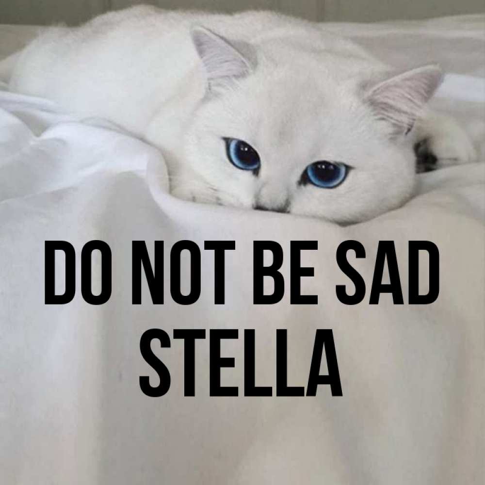 Greetings card с именем, Stella Do not be sad Голубоглазая кошка Greetings with text for free download 