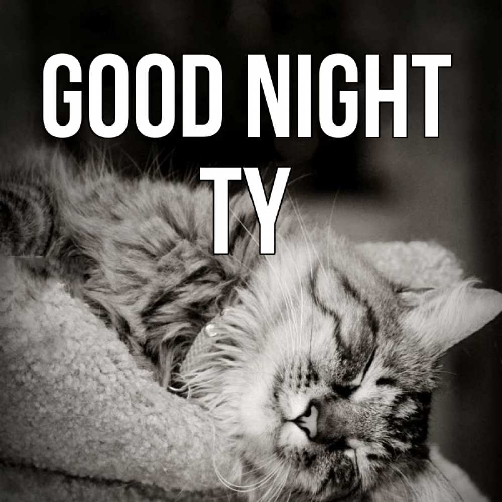 Greetings card с именем, Ty Good night котярик пушистый Greetings with text for free download 