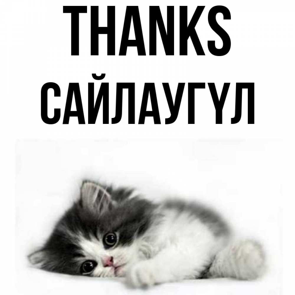 Greetings card с именем, САЙЛАУГҮЛ Thanks черный и белый кот Greetings with text for free download 