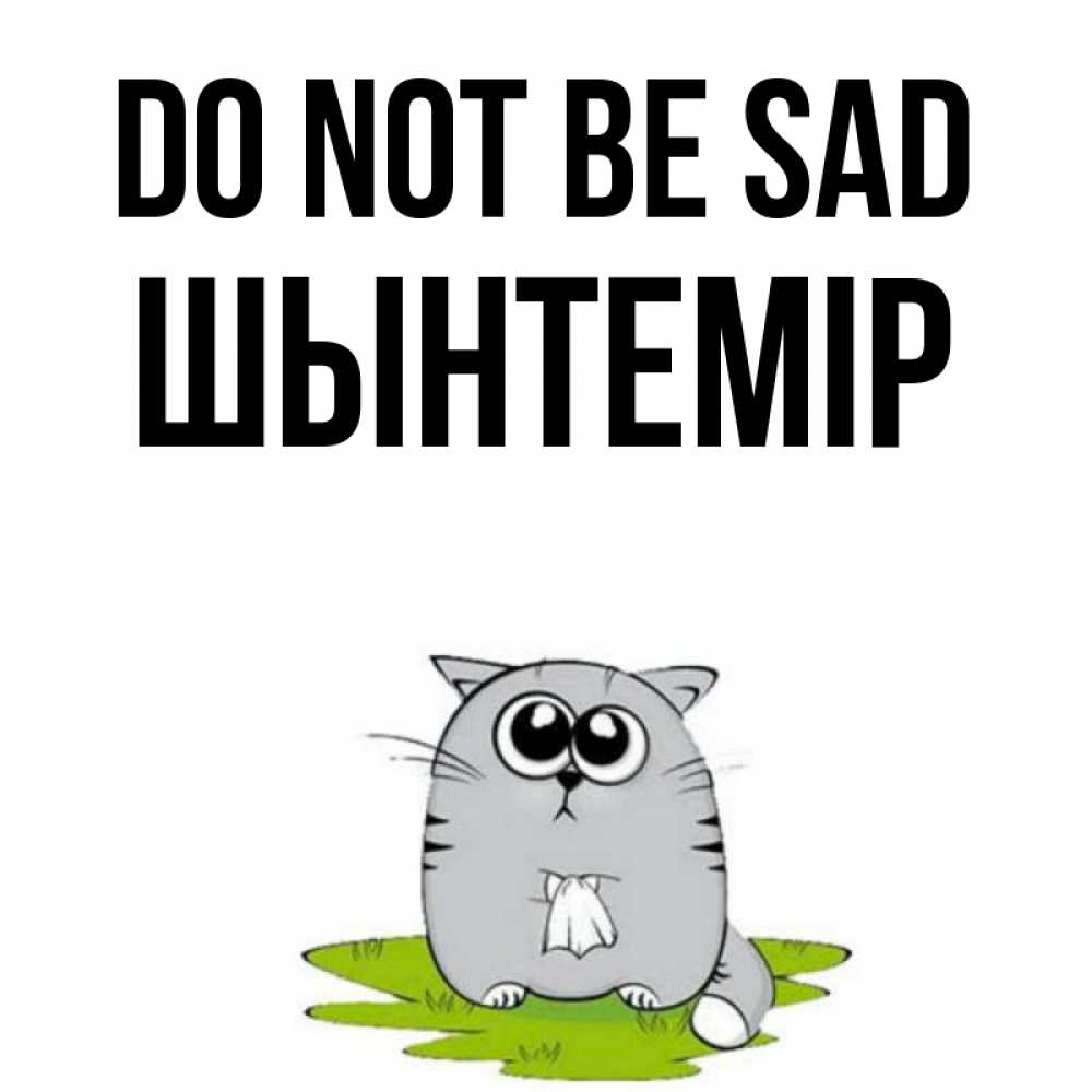 Greetings card с именем, ШЫНТЕМІР Do not be sad грустный котяра Greetings with text for free download 