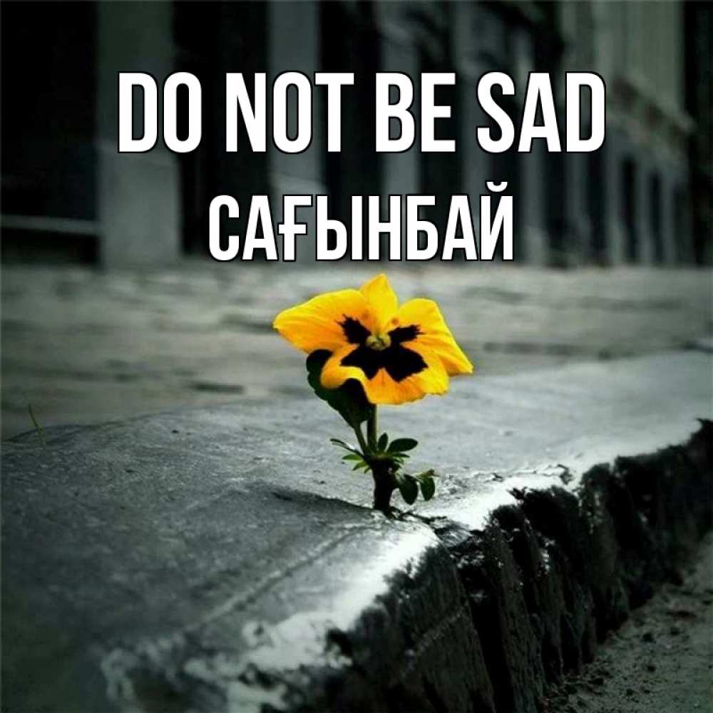 Greetings card с именем, Сағынбай Do not be sad не сдавайся Greetings with text for free download 