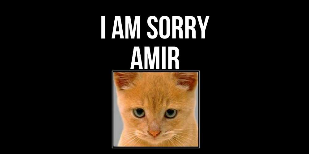 Greetings card с именем, Amir I am sorry рыжий грустный кот просит прощения Greetings with text for free download 