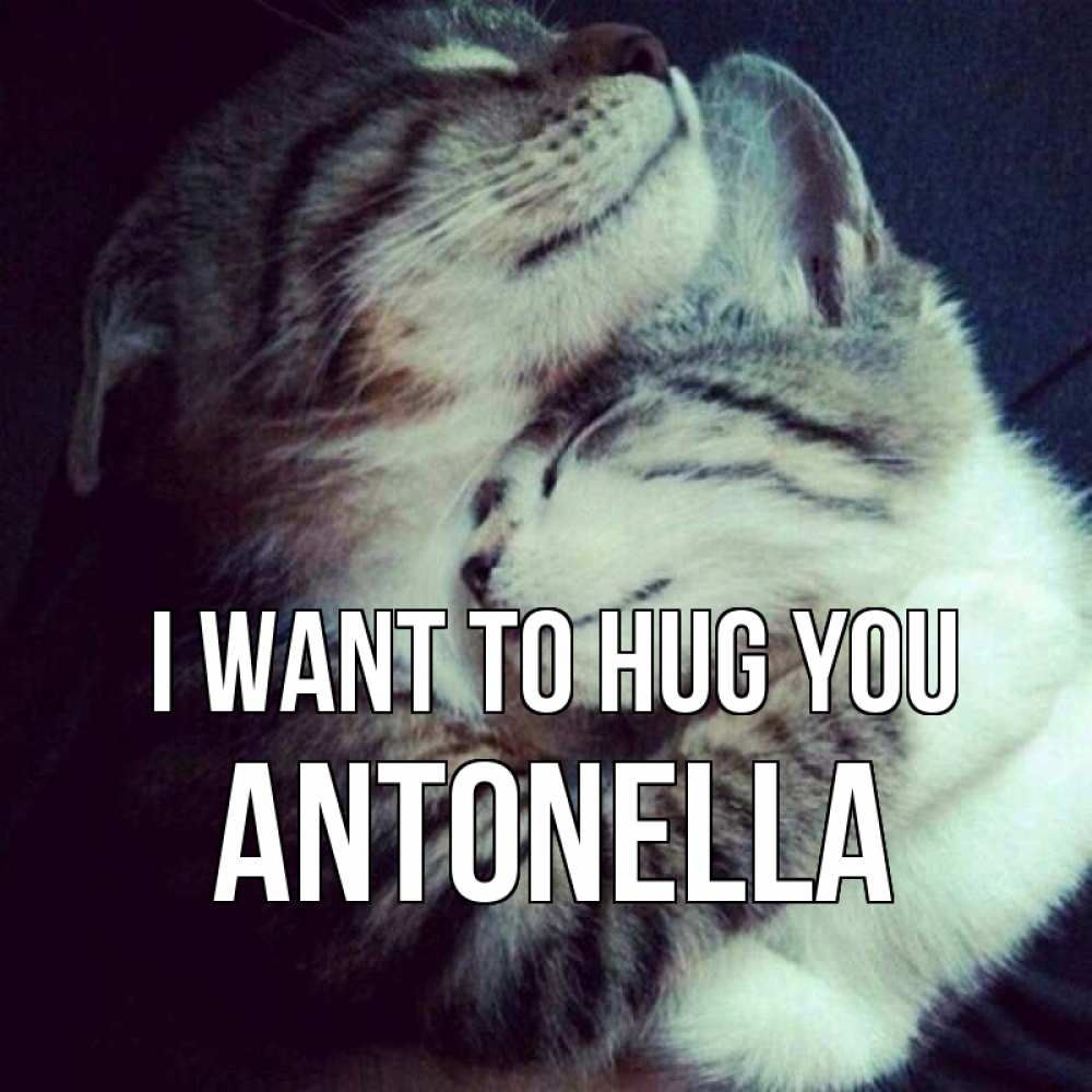 Greetings card с именем, Antonella I want to hug you полосатики Greetings with text for free download 