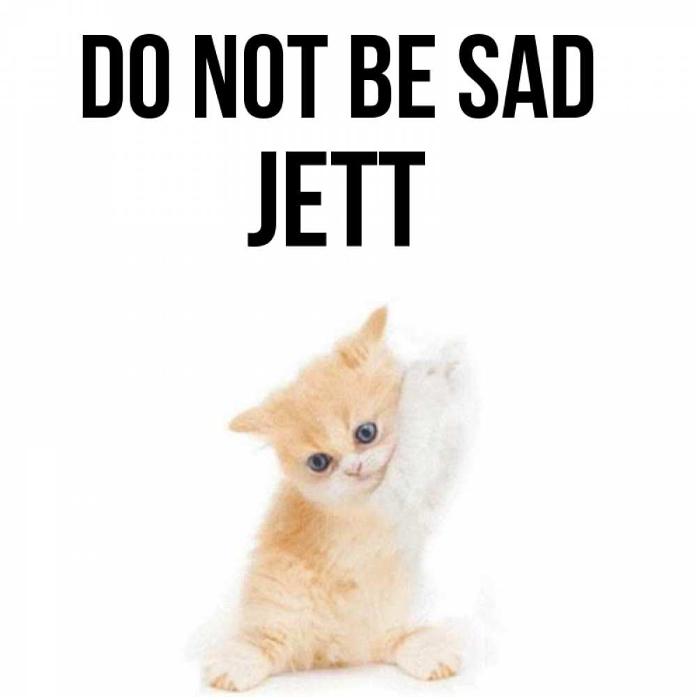 Greetings card с именем, Jett Do not be sad просящий кот Greetings with text for free download 