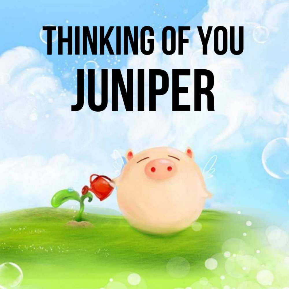 Greetings card с именем, Juniper Thinking of you позитивная свинюшка Greetings with text for free download 