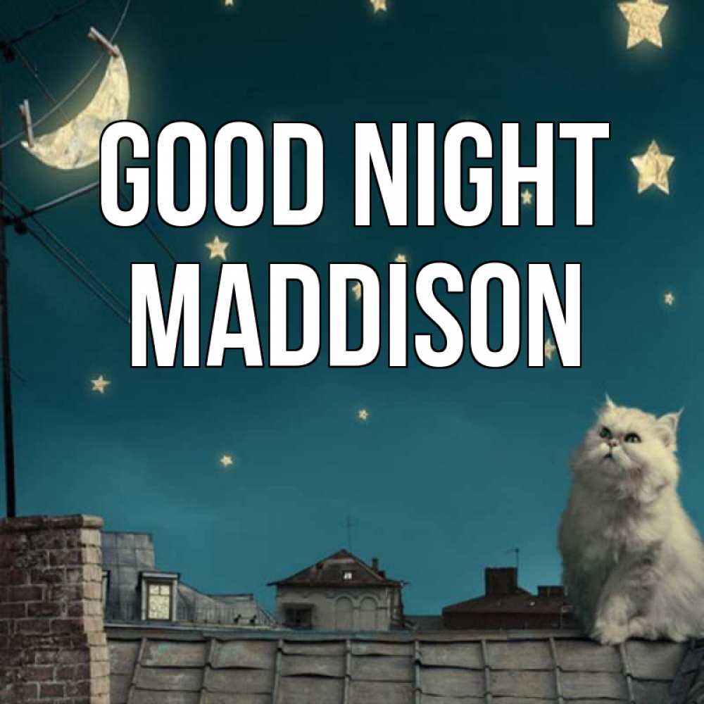 Greetings card с именем, Maddison Good night белый кот сидит на крыше Greetings with text for free download 