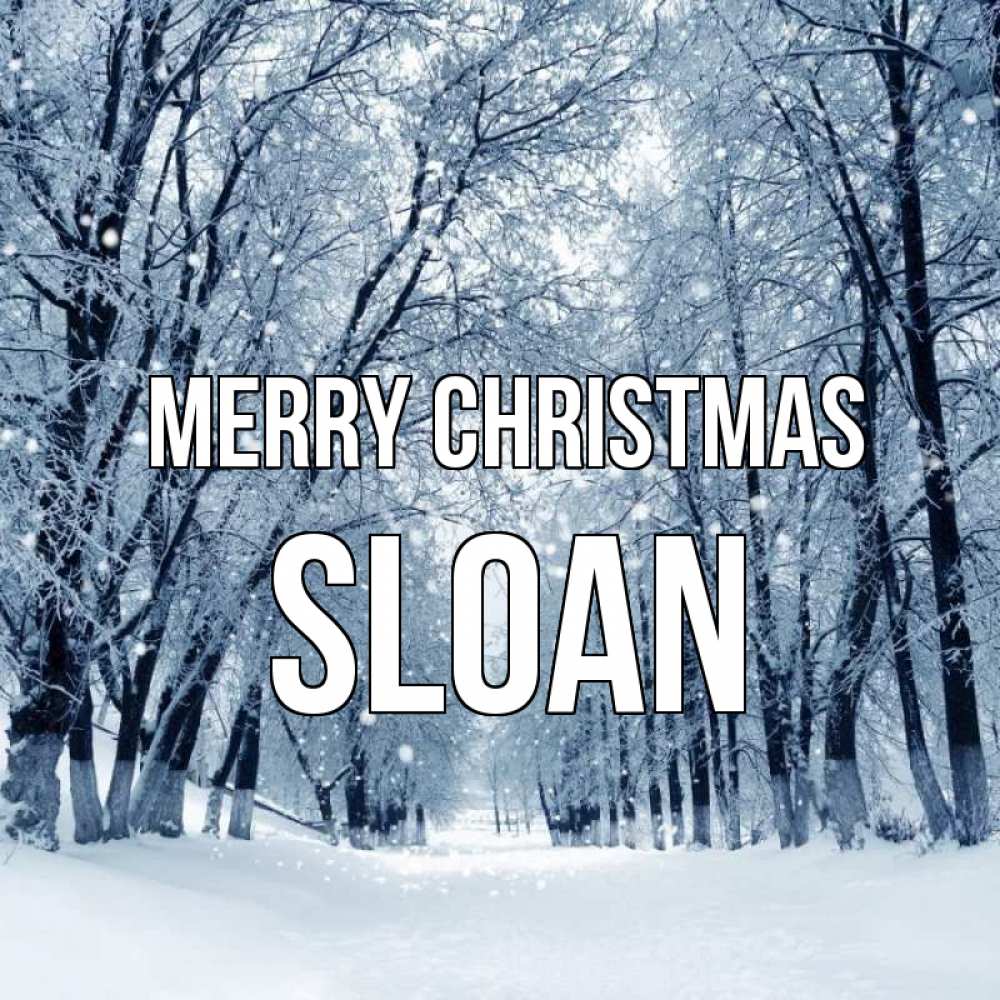 Greetings card с именем, Sloan Merry Christmas снег, лес, парк Greetings with text for free download 