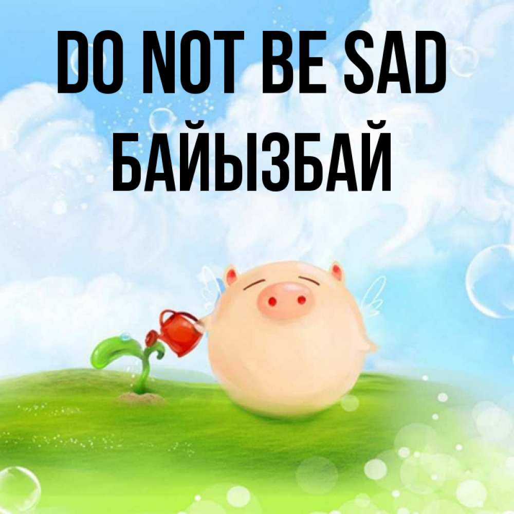 Greetings card с именем, Байызбай Do not be sad поливает цветок порося Greetings with text for free download 