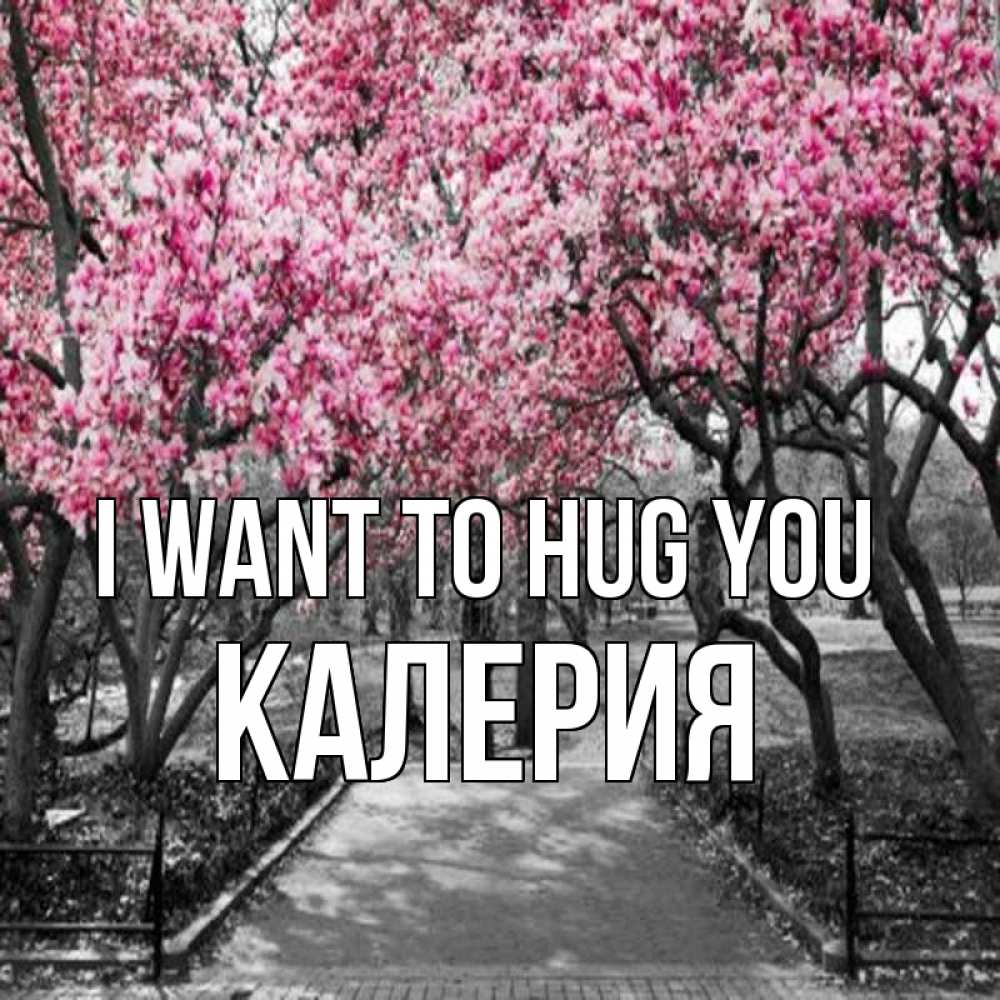 Greetings card с именем, Калерия I want to hug you обработанное фото Greetings with text for free download 