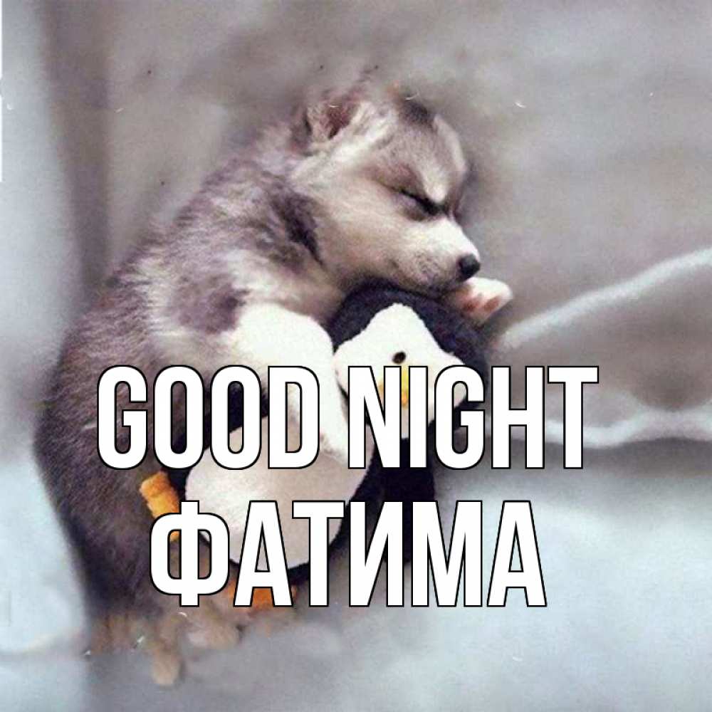Greetings card с именем, ФАТИМА Good night обнимашки щенка и пингвина Greetings with text for free download 