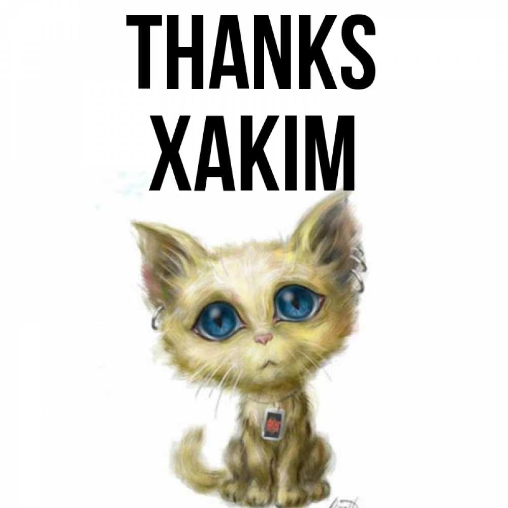 Greetings card с именем, ХАКІМ Thanks рисованный кот благодарит вас Greetings with text for free download 