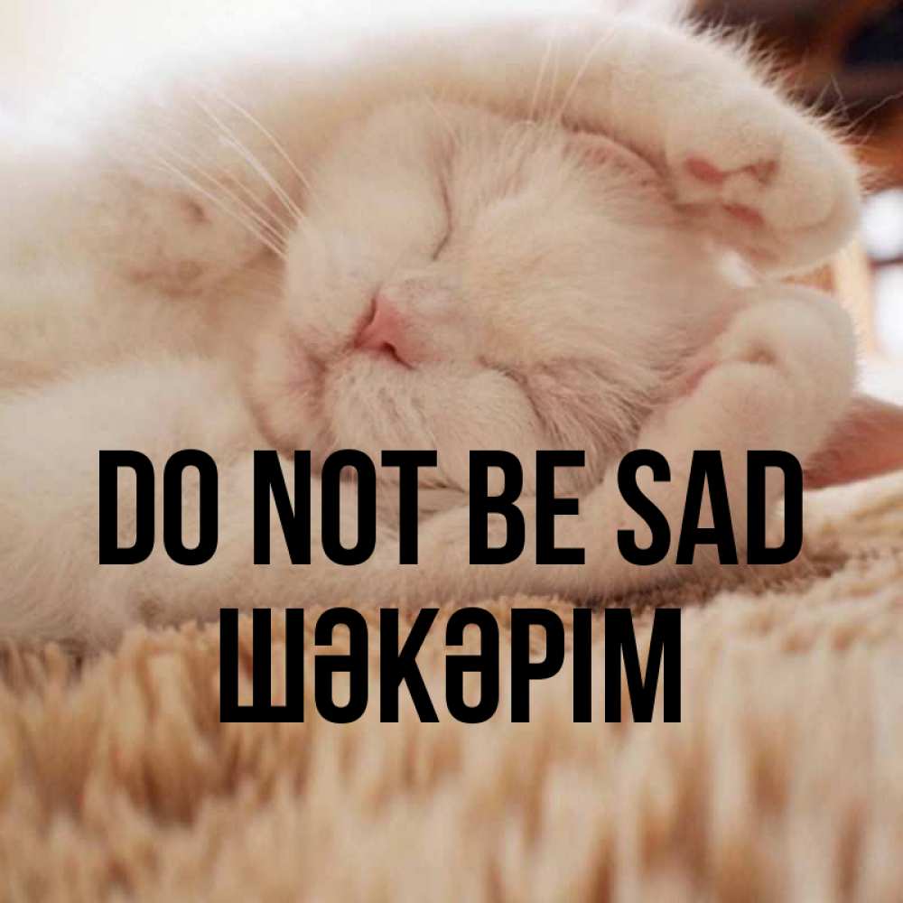 Greetings card с именем, ШӘКӘРІМ Do not be sad Котенок спит Greetings with text for free download 
