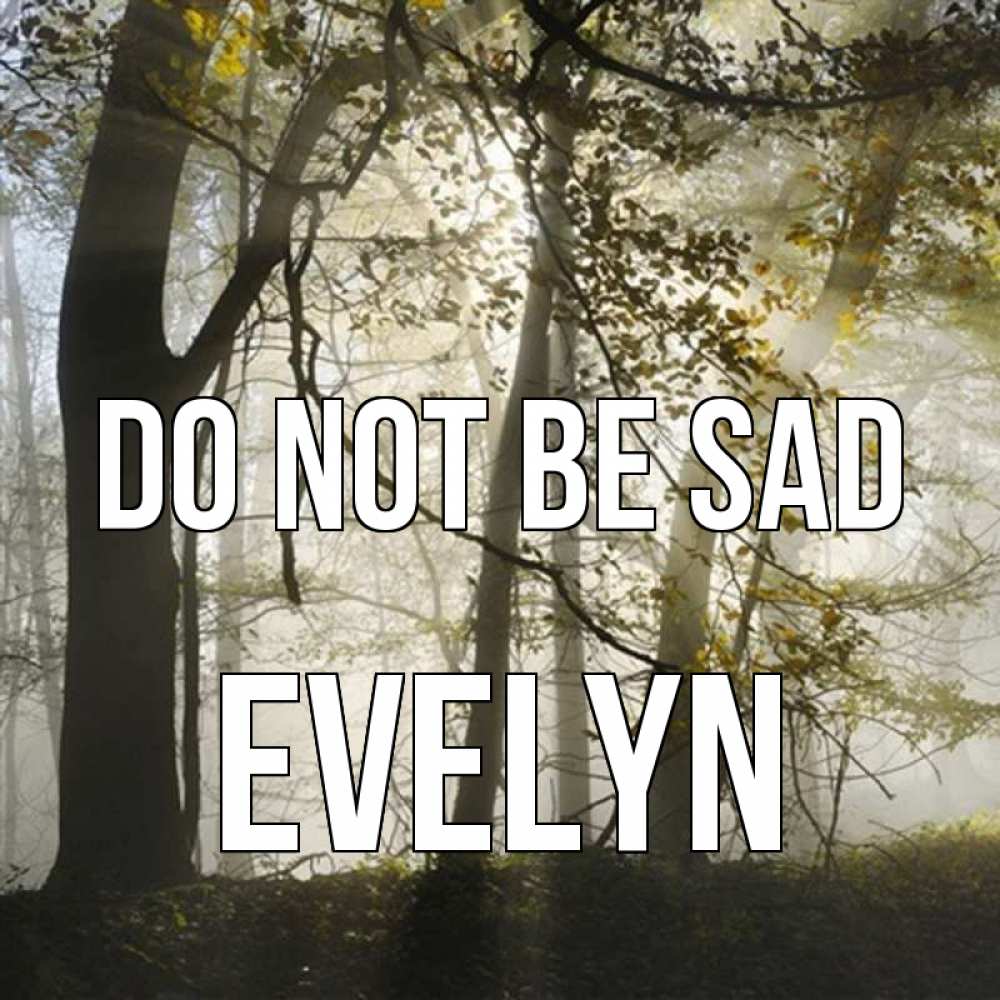 Greetings card с именем, Evelyn Do not be sad лес и свет Greetings with text for free download 
