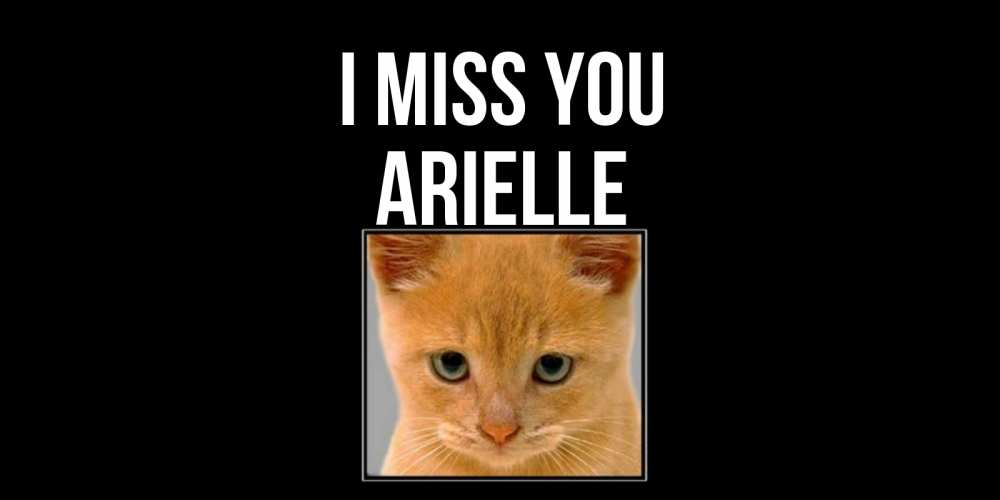 Greetings card с именем, Arielle I miss you открытки рыжий котенок скучает по тебе Greetings with text for free download 