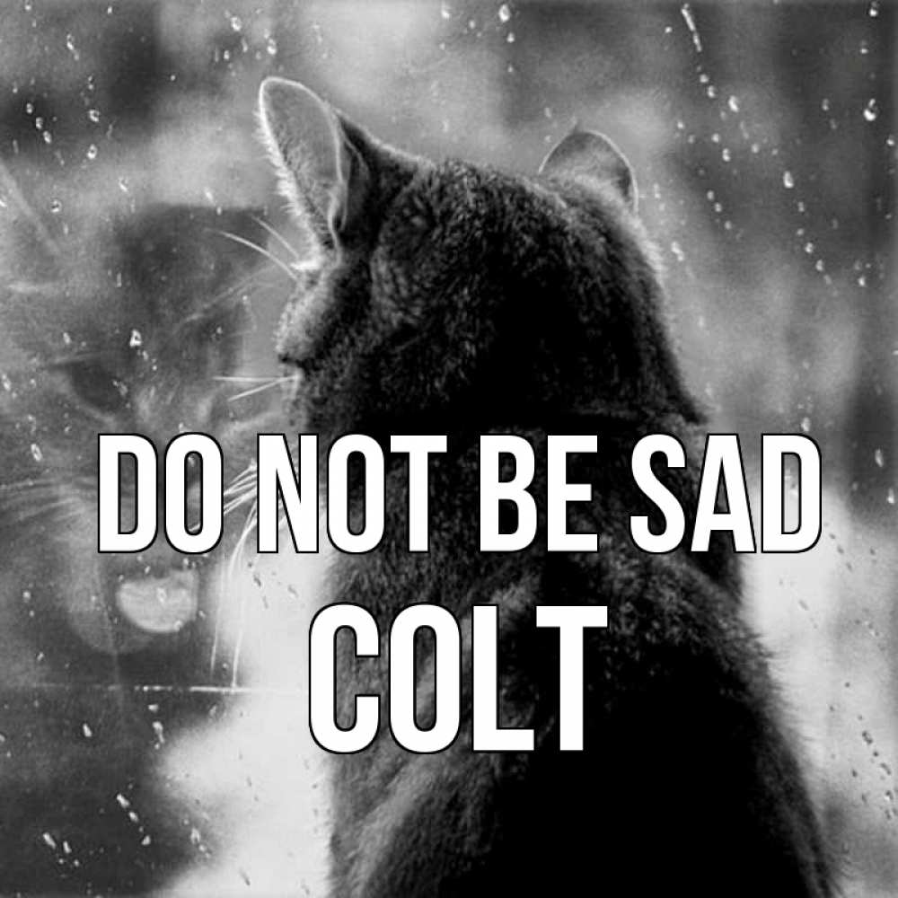 Greetings card с именем, Colt Do not be sad отражение кота 1 Greetings with text for free download 