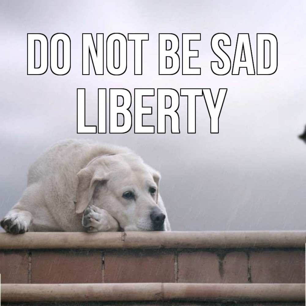 Greetings card с именем, Liberty Do not be sad белый пес 1 Greetings with text for free download 