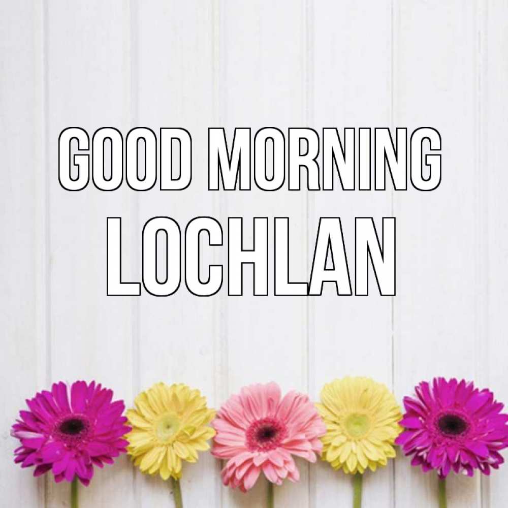 Greetings card с именем, Lochlan Good morning красный желтый и розовый цветок Greetings with text for free download 