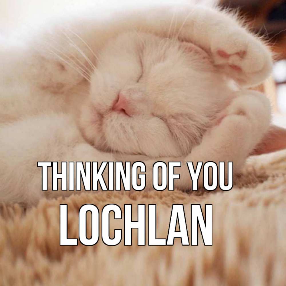 Greetings card с именем, Lochlan Thinking of you для любимой девушки милота Greetings with text for free download 