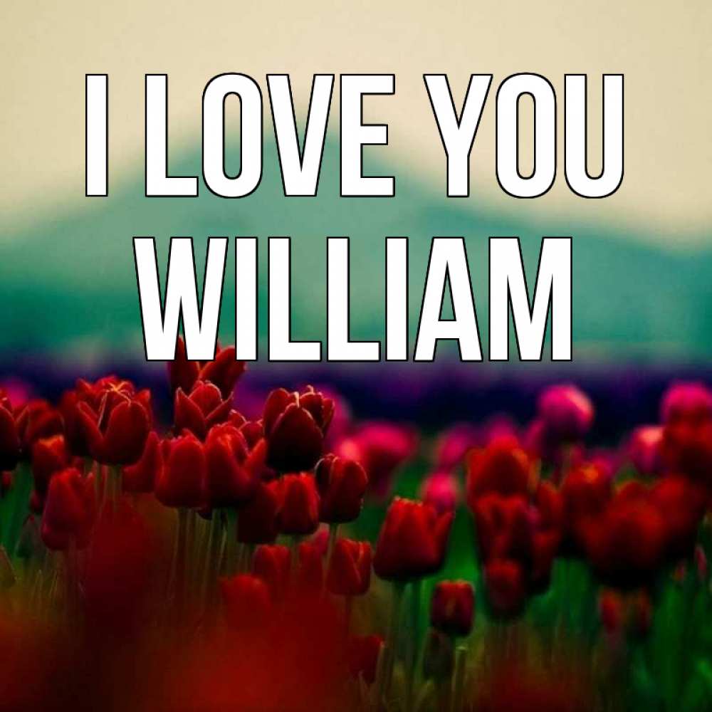 Greetings card с именем, William I love you тюльпаны 4 Greetings with text for free download 