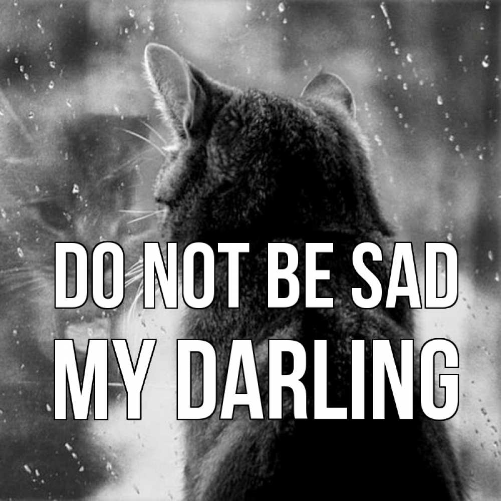 Greetings card с именем, my-darling Do not be sad отражение кота 1 Greetings with text for free download 