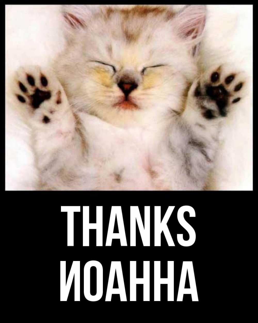 Greetings card с именем, Иоанна Thanks маленький котенок Greetings with text for free download 