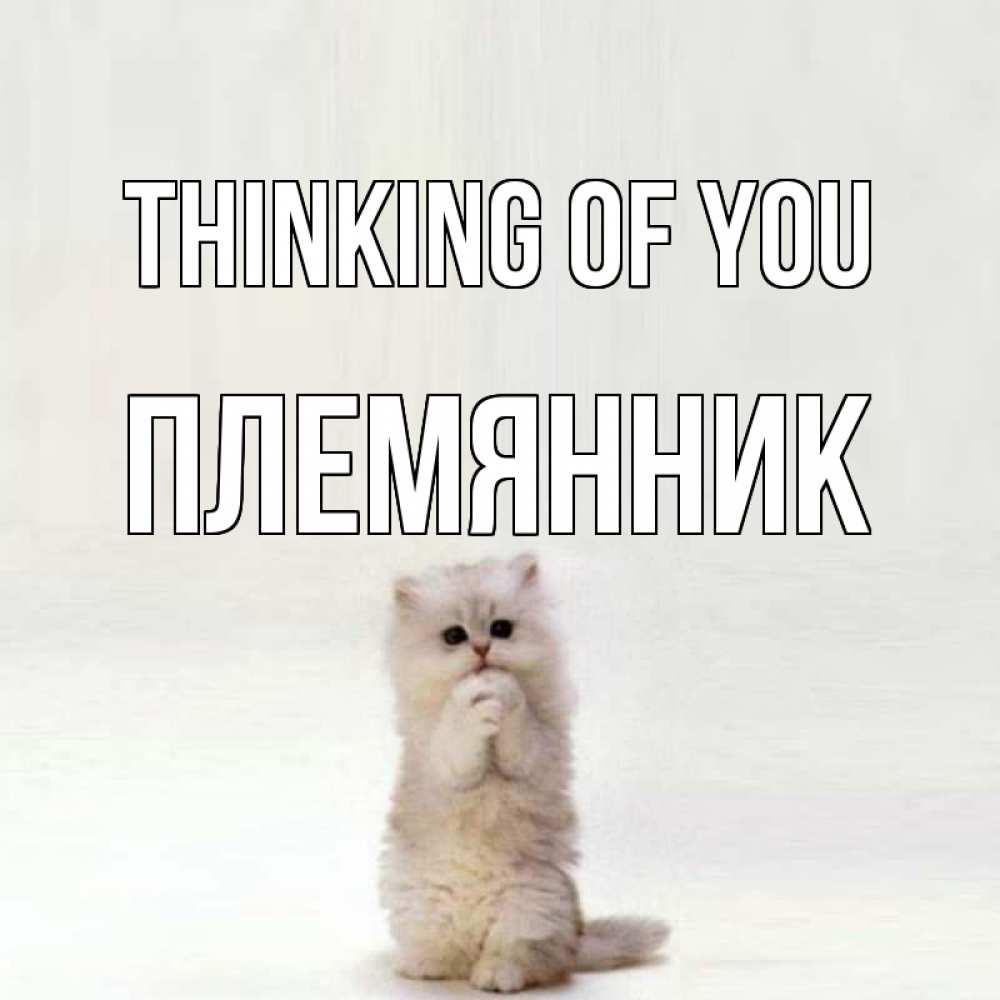 Greetings card с именем, Племянник Thinking of you кот стоит на задних лапах Greetings with text for free download 