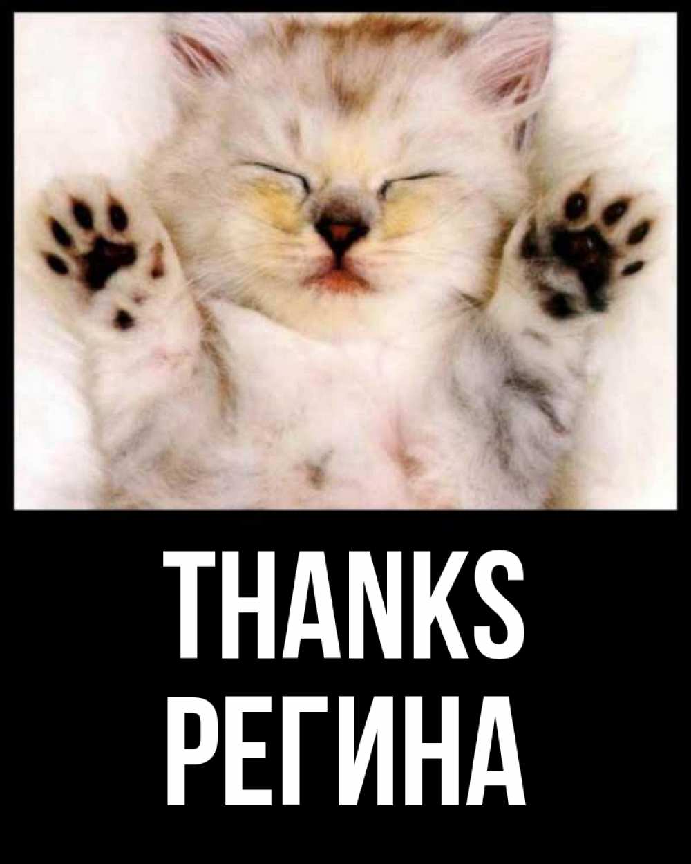 Greetings card с именем, Регина Thanks маленький котенок Greetings with text for free download 