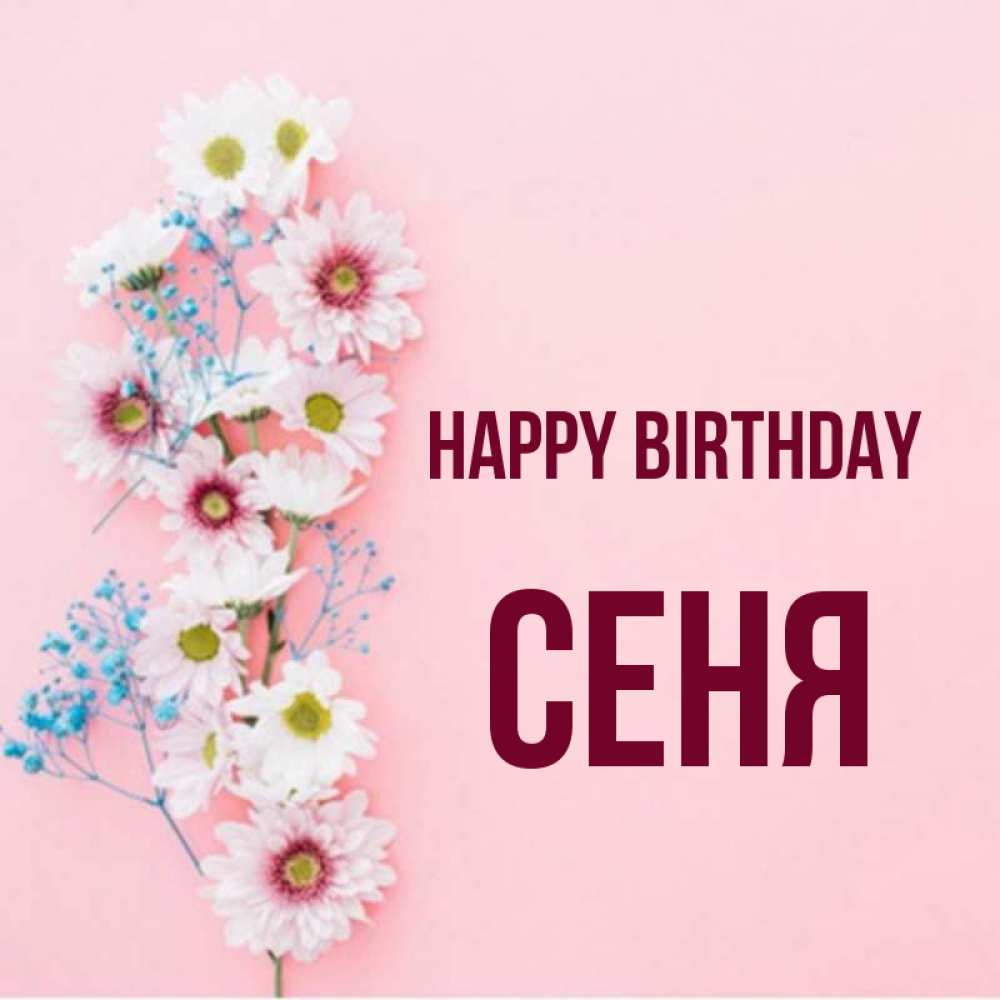 Greetings card с именем, Сеня Happy Birthday Родная моя с днем рождения тебя картинка с цветами белыми и голубыми Greetings with text for free download 