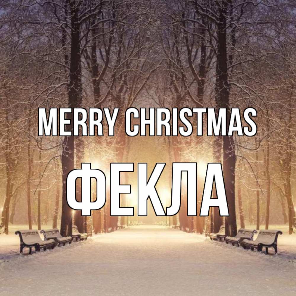 Greetings card с именем, Фекла Merry Christmas зима, парк, фонарь, лес Greetings with text for free download 