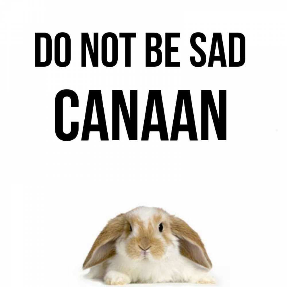 Greetings card с именем, Canaan Do not be sad коричнево белый заяц с большими ушками Greetings with text for free download 