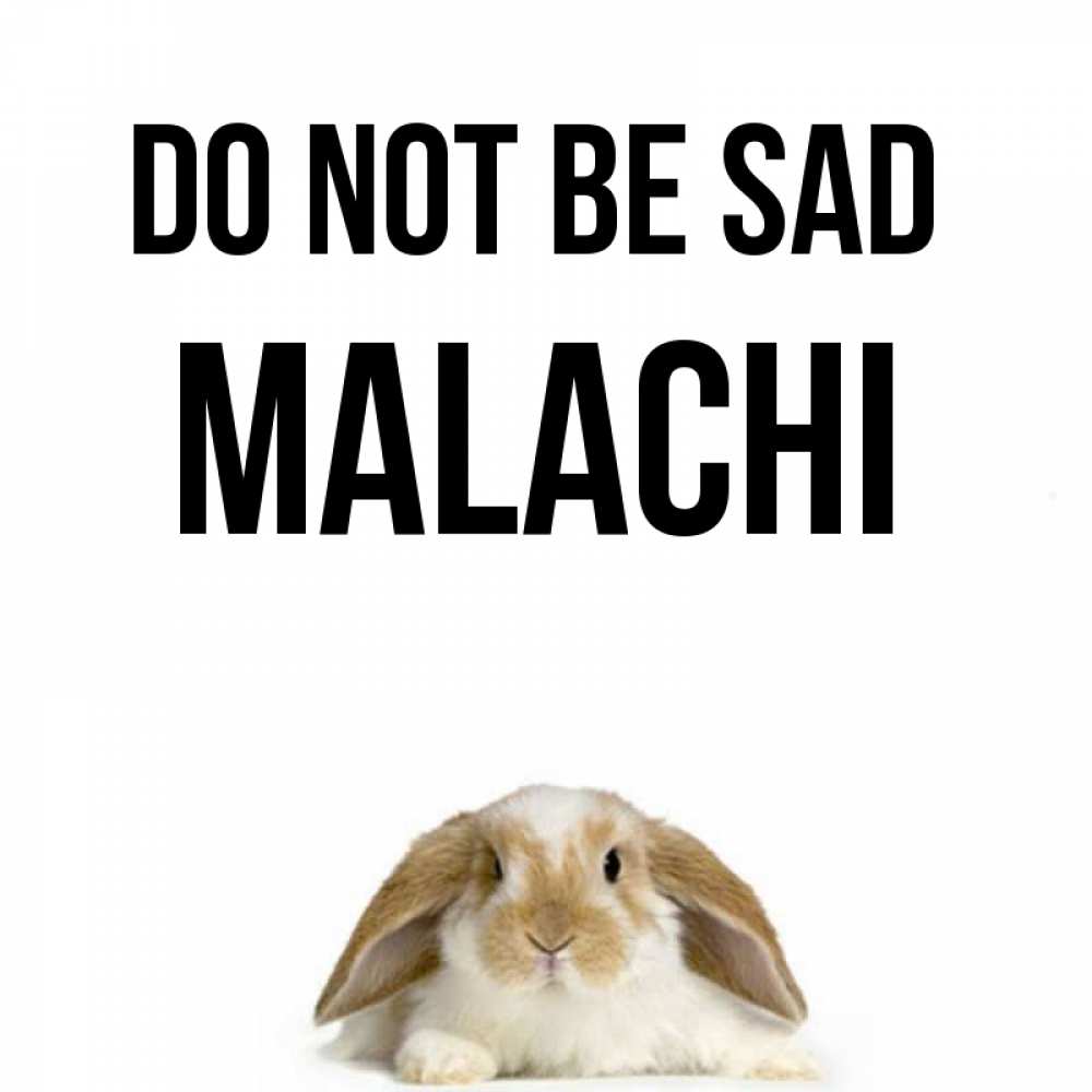 Greetings card с именем, Malachi Do not be sad коричнево белый заяц с большими ушками Greetings with text for free download 
