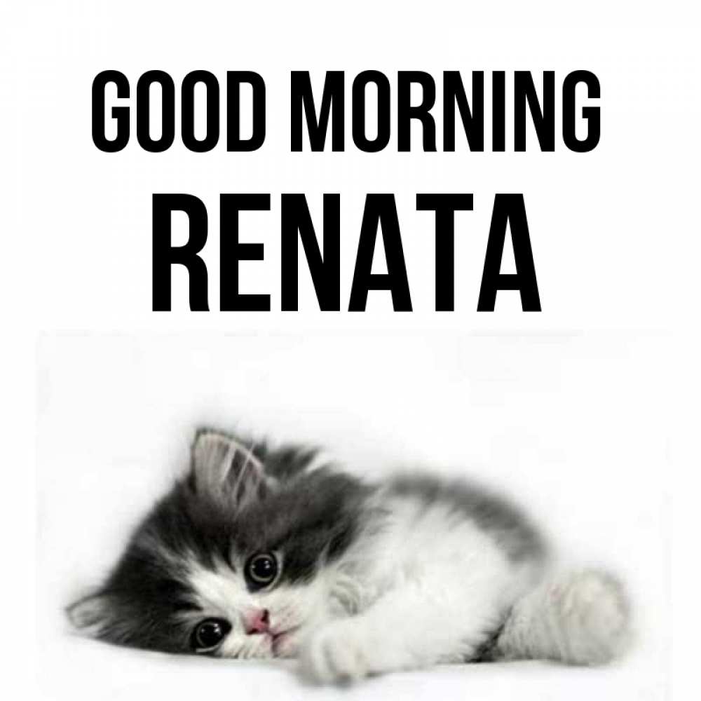 Greetings card с именем, Renata Good morning кот лапки Greetings with text for free download 