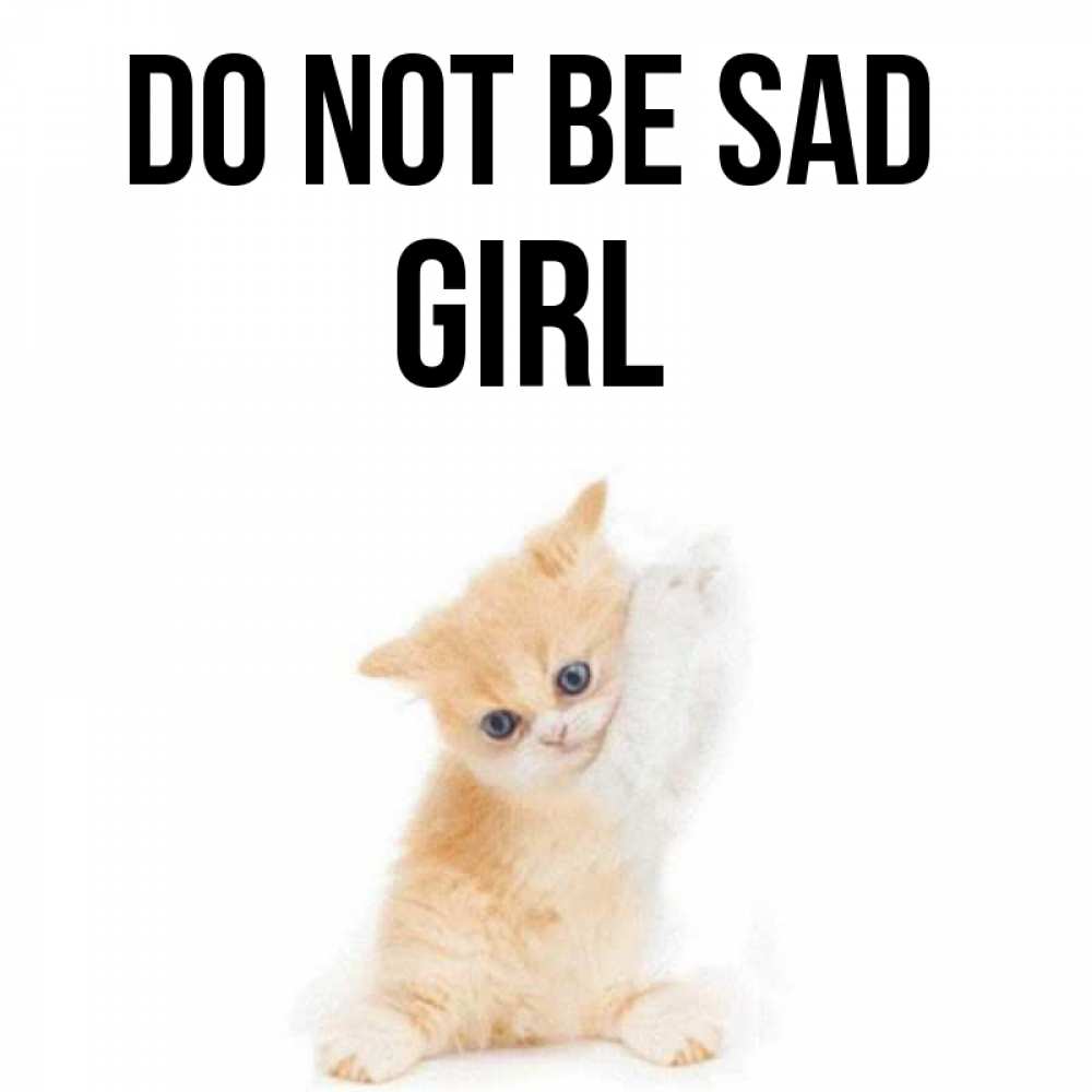 Greetings card с именем, girl Do not be sad просящий кот Greetings with text for free download 