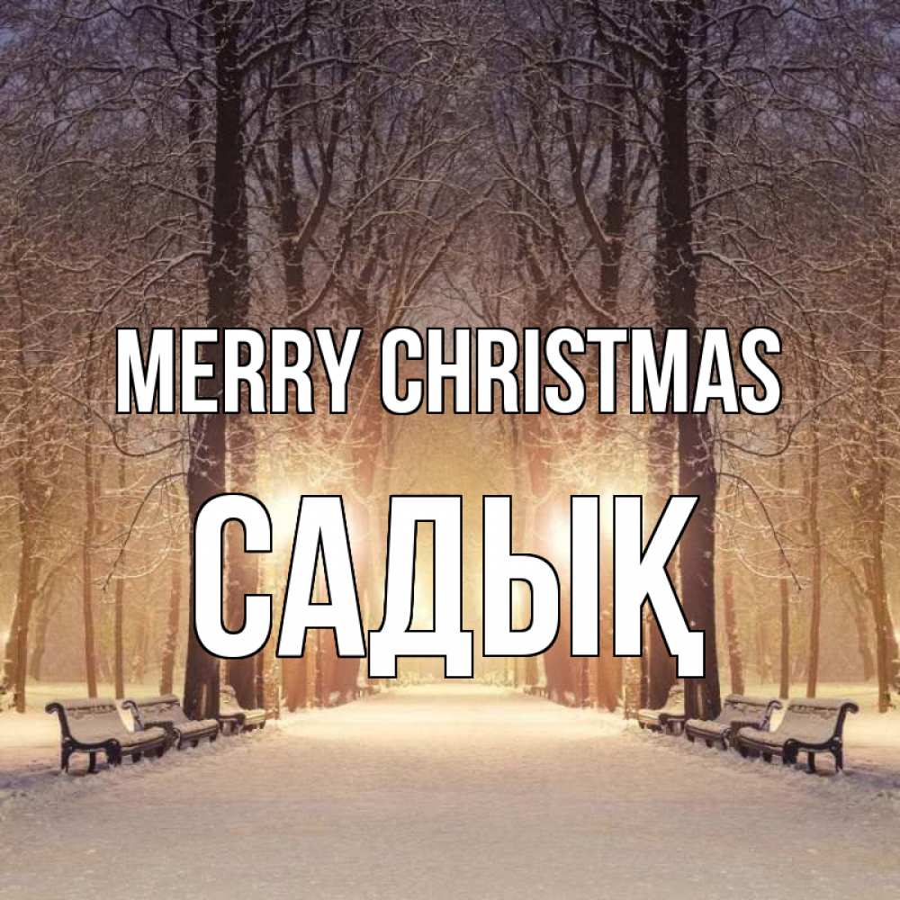 Greetings card с именем, САДЫҚ Merry Christmas зима, парк, фонарь, лес Greetings with text for free download 