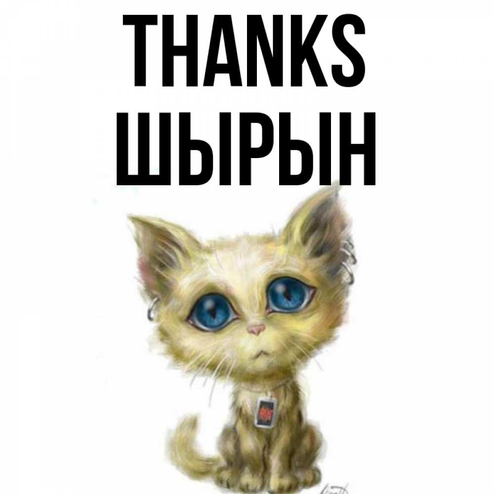 Greetings card с именем, ШЫРЫН Thanks рисованный кот благодарит вас Greetings with text for free download 