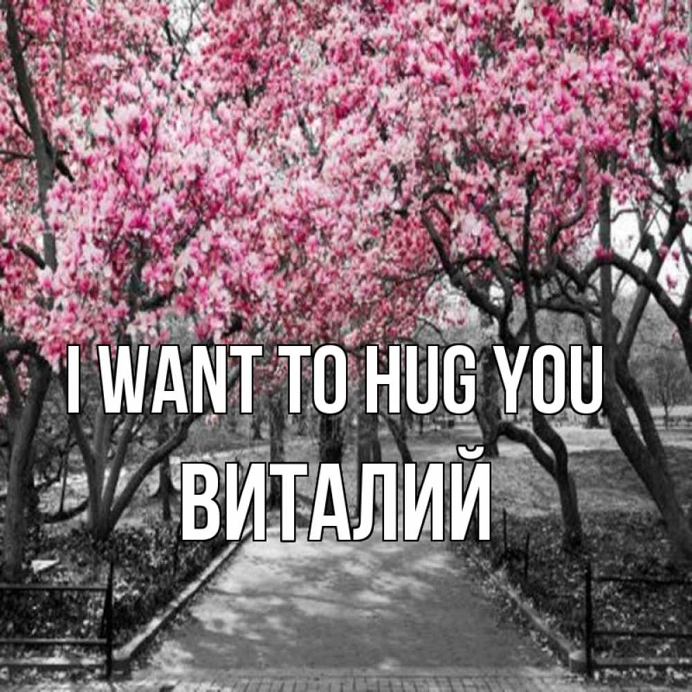 Greetings card с именем, Виталий I want to hug you обработанное фото Greetings with text for free download 